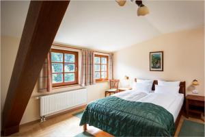 Un dormitorio con una cama grande y ventanas. en Aparthotel Pod Plání, en Špindlerův Mlýn