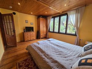 ein Schlafzimmer mit einem großen Bett und einem großen Fenster in der Unterkunft Villa Skalolazka in Belogradtschik