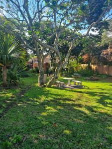 Κήπος έξω από το Tweni Strandloper Cottage