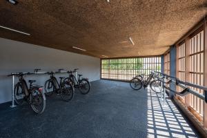 Đạp xe trong hoặc quanh Lo Scudo di Stabio