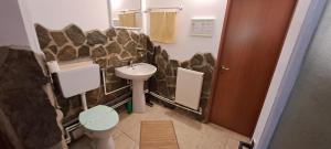 Et badeværelse på Casa Baciu, Ciungetu-Vâlcea + 47 billeder