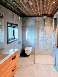Un baño con inodoro y ducha de cristal. en Bjerghytte Med Panoramaudsigt I Oppdal, en Gorset