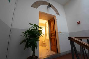 a hallway with a potted plant next to a door at Hotel Canada in Florence