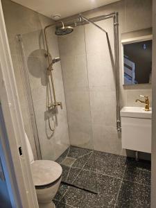 Ένα μπάνιο στο Oslo Hou 5 rooms