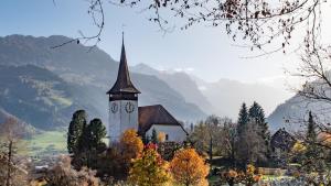 Phong cảnh thiên nhiên gần căn hộ +33 ảnh