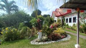 Κήπος έξω από το Villa Shangri-La