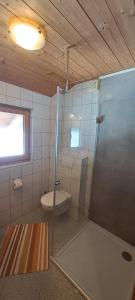 a bathroom with a shower and a toilet in it at Ferienhütte Georg in Hippach +26 photos