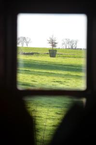 uma vista de um campo a partir de uma janela em The Hollow Bottom em Guiting Power