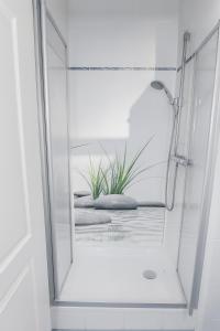 a shower with a glass door with a plant in it at Außergewöhnliche 5 Zimmer Penthouse Wohnung in Kehl in Kehl am Rhein