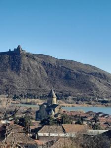 a view of a town with a castle on a hill at Apartment 9 in Mtskheta