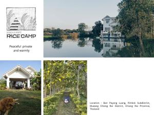 a collage of photos of a house and a river at black & white rice camp แบล็กแอนด์ไวต์ไรซ์แคมป์ 