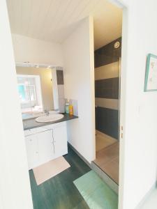 a bathroom with a sink and a shower at Gite La Tanière in Siradan +9 photos