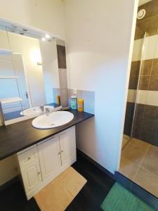 a bathroom with a sink and a shower at Gite La Tanière in Siradan