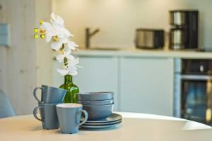 Η κουζίνα ή μικρή κουζίνα στο Seehaus Lütt Marten +20 φωτογραφίες