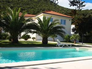 a house with palm trees and a swimming pool at Villa Valentina in Trpanj