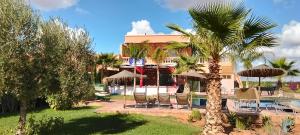 a resort with a palm tree and chairs and a pool at chez JM saida in Ourika