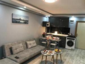 a living room with a couch and a kitchen at Nexus By Taksim Hotel in Istanbul +24 photos