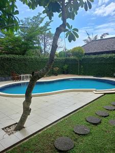 a tree next to a small swimming pool at casavina studio 304 private kitchen, Near beach in Canggu