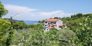 Naturlandskabet i nærheden af lejligheden