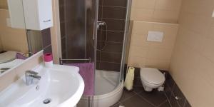 a bathroom with a sink and a toilet and a shower at Federica A2+1 in Veli Lošinj