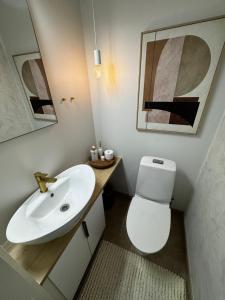 a bathroom with a white sink and a toilet at Villa Hattara in Rovaniemi +21 photos
