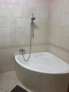 Ένα μπάνιο στο Kékmadár Wellness Apartman Kalocsa