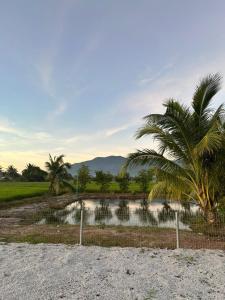 Φωτογραφία από το άλμπουμ του Simpoh Inn 