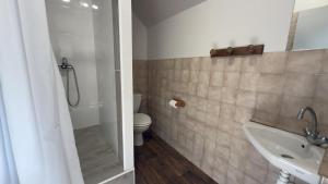 a bathroom with a shower and a sink and a toilet at Jappeloup in Saint-Germain +26 photos