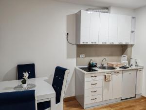 弗尔尼亚奇卡矿泉镇Apartmani Lucky Place的带桌子和水槽的小厨房