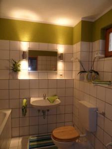 a bathroom with a toilet and a sink at Altstadt Ferienwohnung Wagner in Limburg an der Lahn