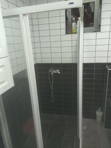 eine Dusche mit Glastür im Badezimmer in der Unterkunft Blu point 1 in Kragujevac