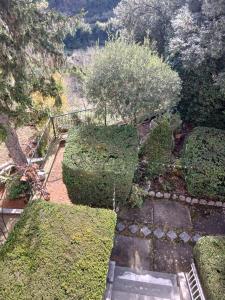 una vista aérea de un jardín con árboles y arbustos en Camera matrimoniale e bagno privato Vicovaro, en Vicovaro 5 fotos más