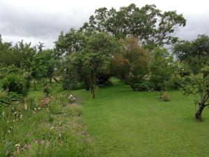 a field of grass with trees and flowers at La maison du fermier in Chauvigny +13 photos