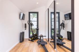 ヴィルールバンヌにあるLa Maison Bretzelのジム(トレッドミル2台、鏡付)