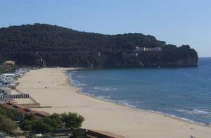 a view of a beach with trees and the ocean at Gaeta, vicino al mare in Gaeta