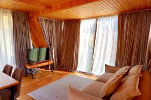 a living room with a couch and a television at Zholovani Cottages in Lagodekhi