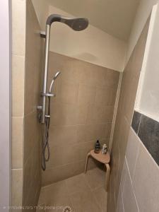 a shower with a shower head in a bathroom at על הגג במדבר in Mitzpe Ramon