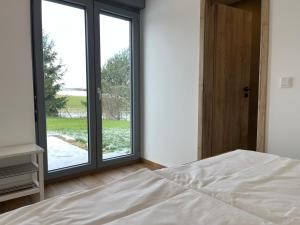 a bedroom with a bed and a large window at 4-Steine-Blick, Wohnung "Zur Kaiserkrone" in Schöna