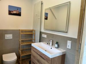 a bathroom with a sink and a toilet and a mirror at 4-Steine-Blick, Wohnung "Zur Kaiserkrone" in Schöna