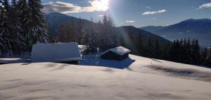 a house covered in snow on a snowy mountain at Reh's Wiesen Hütte in Luson