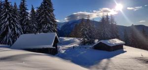 a house covered in snow with the sun in the background at Reh's Wiesen Hütte in Luson