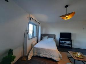 um quarto com uma cama, uma janela e uma televisão em Le pied à terre em Chartres