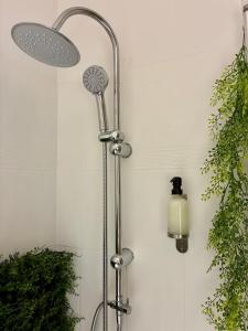 a shower with a shower head next to a plant at La Perle - Jacuzzi Balneo- Wifi - Parking PV in Lunel +14 photos