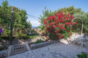 Naturlandskabet i nærheden af pensionatet