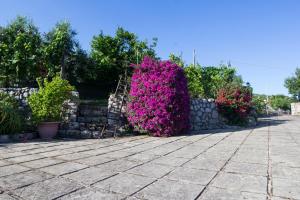 um jardim com flores cor-de-rosa e uma parede de pedra em Villa Ida Bed & Breakfast em Terracina