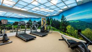 a gym with several treadmills and a mural at Hotel Restaurant Mont Champ du Feu in Belmont