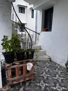 Fotografie z fotogalerie ubytování Birds Nest v destinaci Madurai