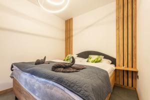 Ένα ή περισσότερα κρεβάτια σε δωμάτιο στο Two Bedroom Apartment with Terrace- Tatra View - Księżycowe Apartamenty SPA - 24d-1