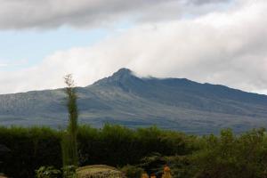 Γενική θέα στο βουνό ή θέα στο βουνό από  αυτό το διαμέρισμα