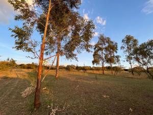 Φυσικό τοπίο κοντά σε αυτό το διαμέρισμα